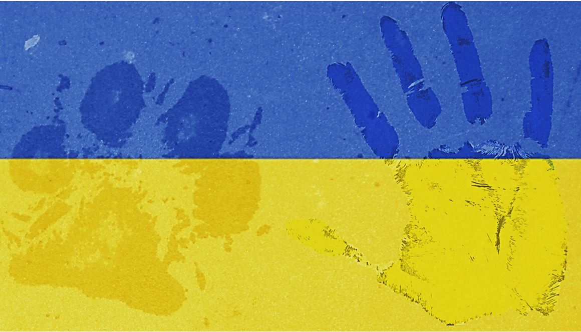 Pfote und Hand auf ukrainischer Flagge