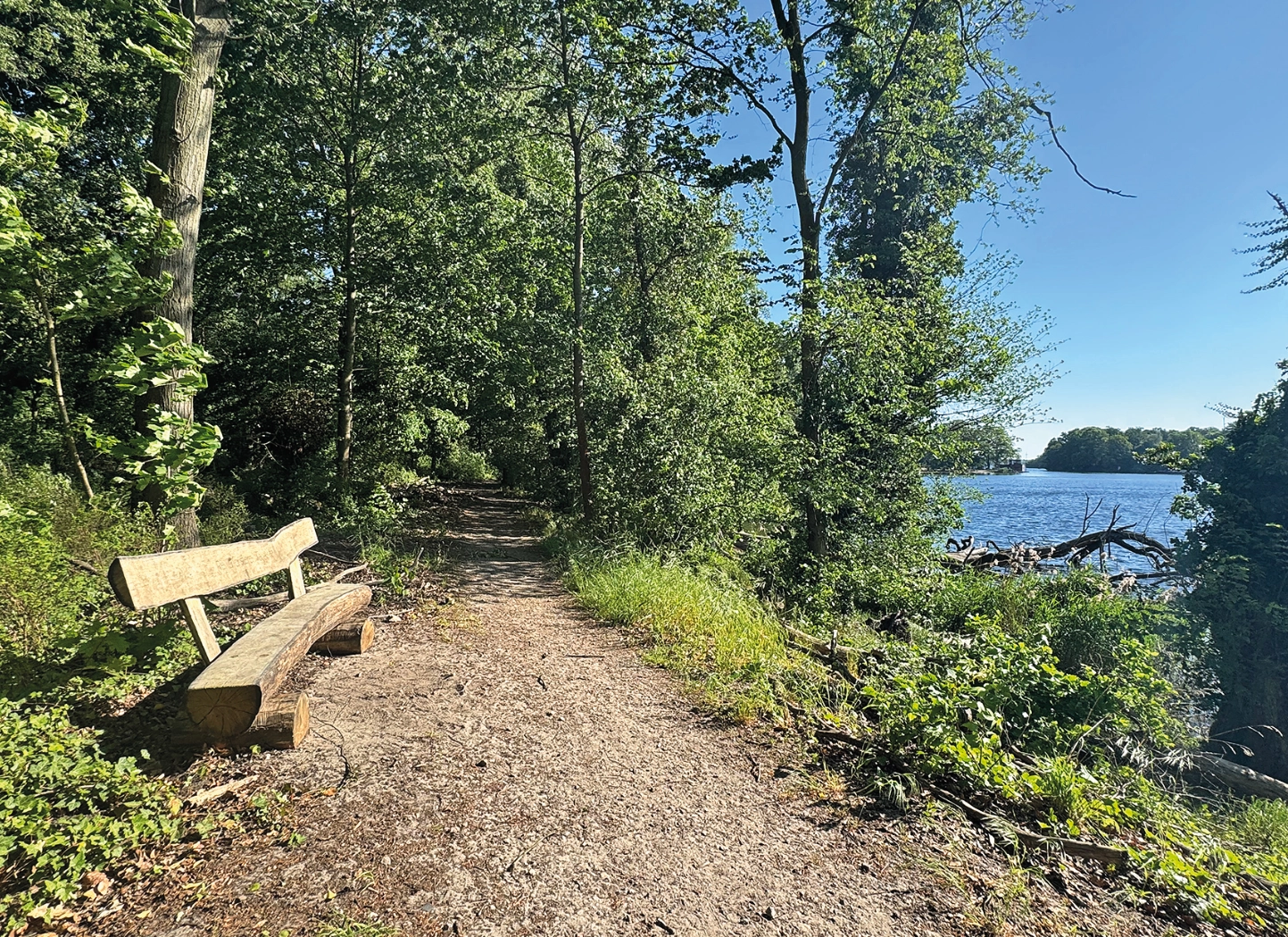 Eine Holzbank am Wegesrand, daneben Bäume und ein Seeufer.