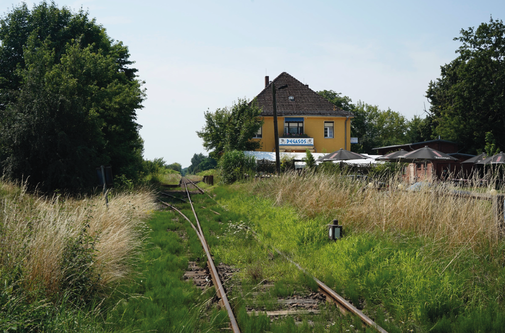 Ein Bahngleis, das vn Gras überwuchert ist. Im Hintergrund Sträucher, Bäume und ein Haus