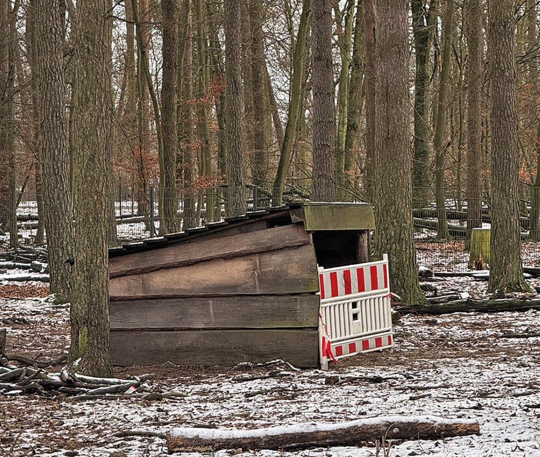 Ein Wald: Man sieht Baumstämme und reifbedeckten Boden. Mittig eine Schutzhütte, die allerdings mit einer Barke abgesperrt ist.