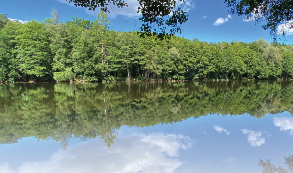Ein See im Wald mit Spiegelung der Bäume