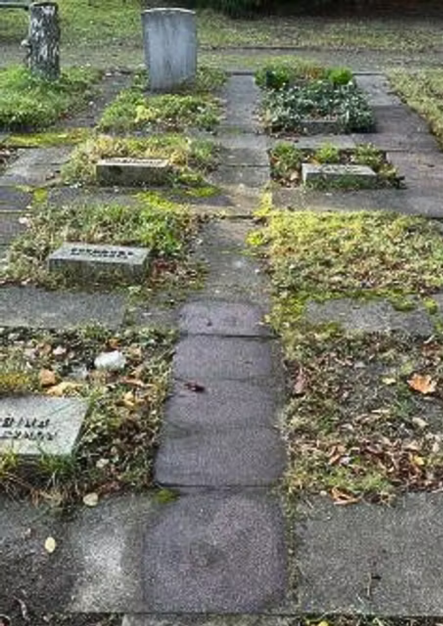 Blick auf ein Friedhofsgelände mit Grabplatten
