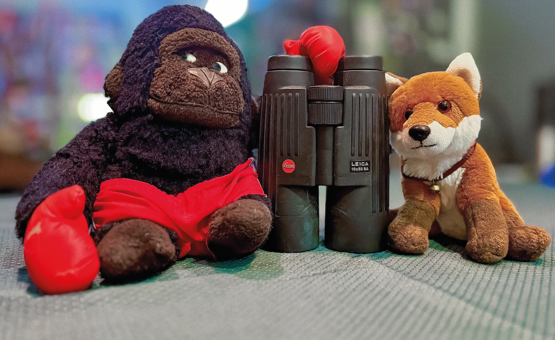 ein Fuchs und ein Gorilla aus Stoff mit einem Fernglas