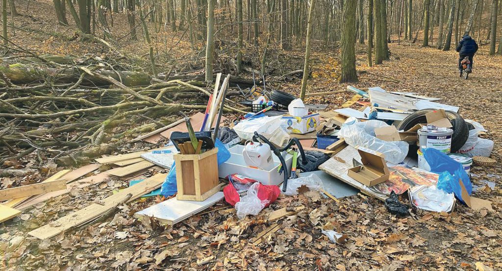 Müll liegt im Wald