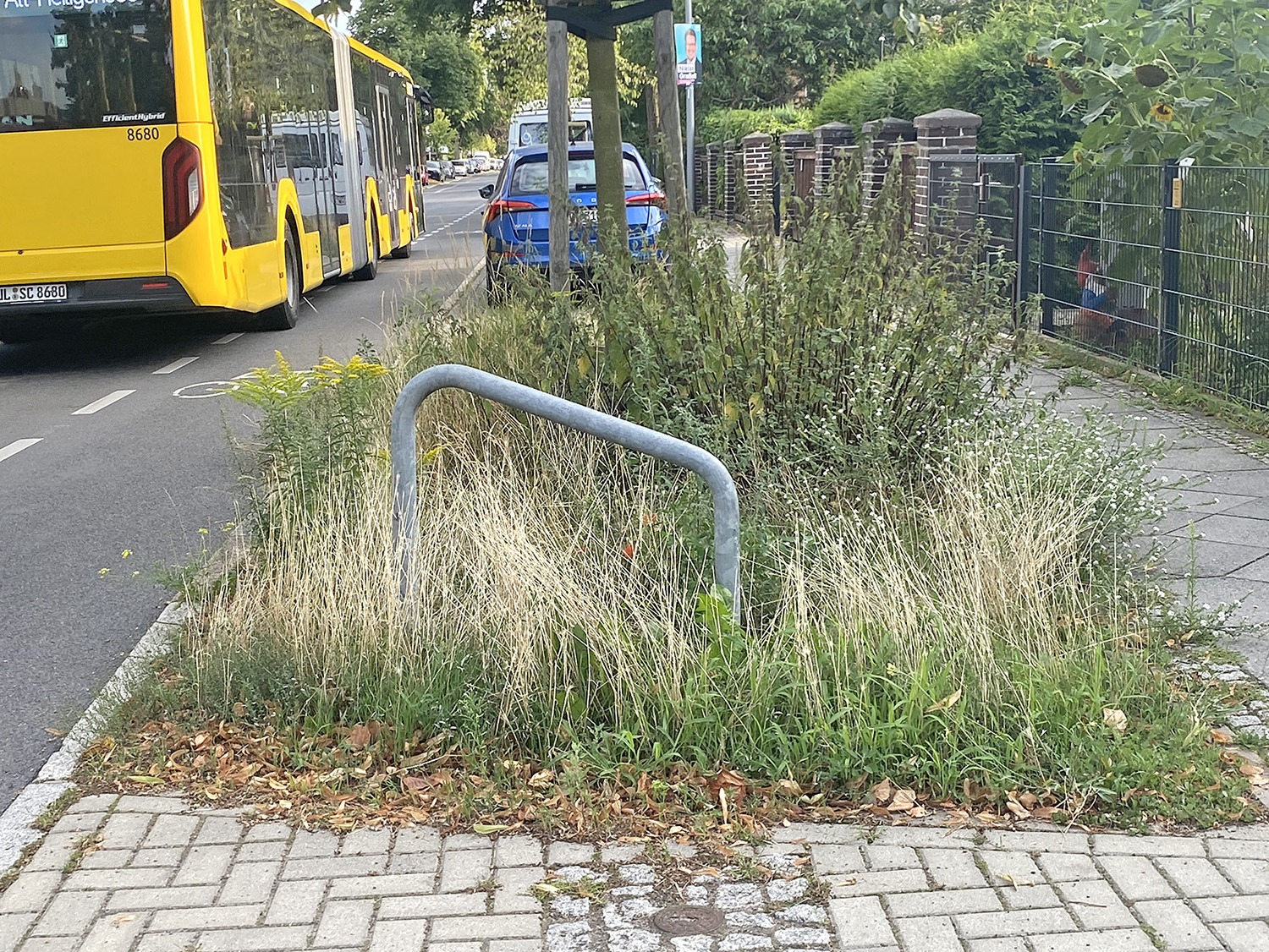 Ein verwilderter Grünstreifen an einer Straße